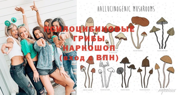 MESCALINE Вяземский