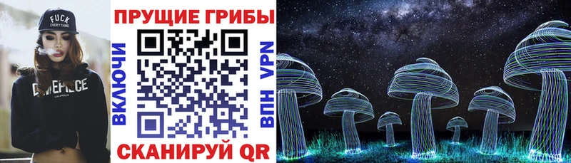 Псилоцибиновые грибы Psilocybine cubensis  Купить закладки  Яхрома 