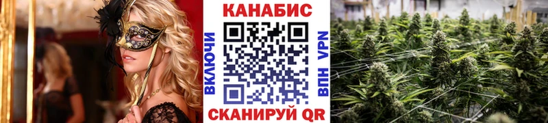 Бошки марихуана VHQ  Купить где  Яхрома 